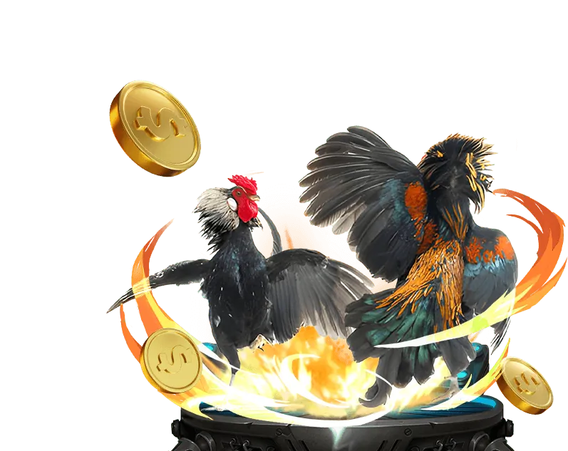 Luật chơi đá gà C54